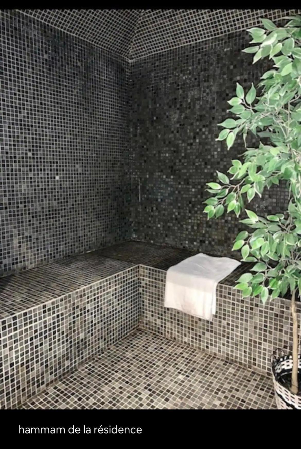 Appartements Avec Piscine Interieure Sauna Parking Etage 1 Au Centre Du Village Dans Residence Cami Real Saint-Lary-Soulan Buitenkant foto